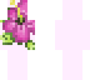 hibiscus//tysm for 30 followers!! + . +