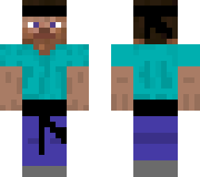 ninja steve