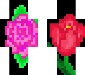 rose and tulip