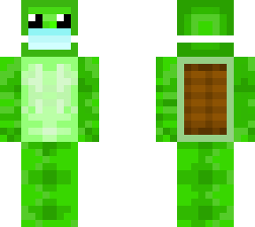 safe turtle