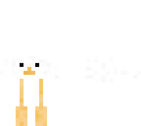 tavuk