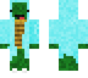 turtle hoodie