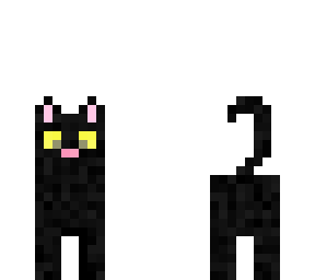 black cat magic