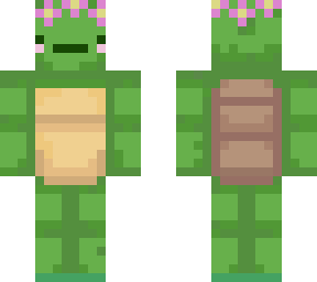 turtle with flower crown