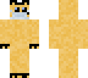 cat with mask