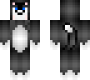 firulex  gato