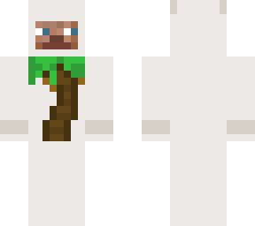 palm tree