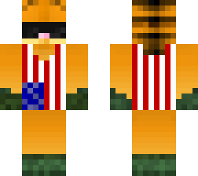 american flag garfield