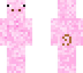 piggy person