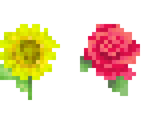 sunflower & rose