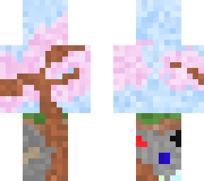 the cherry blossom