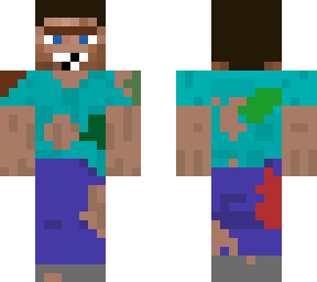 steve sans abris