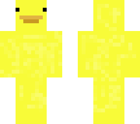 a duck