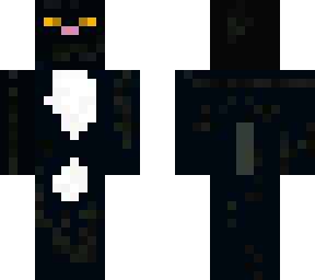 black cat