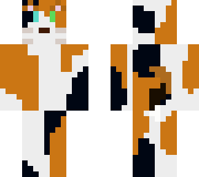 calico cat