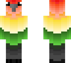 cute rainbow bird