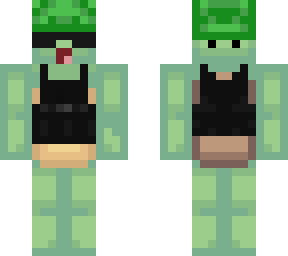 turtle soldier