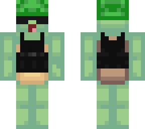 turtle soldier