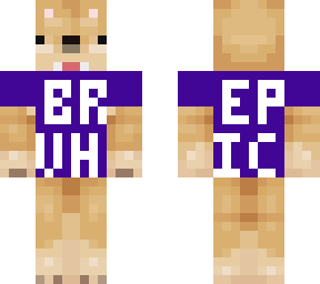 bruh epic doge
