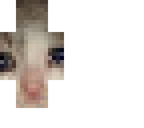 sad cat