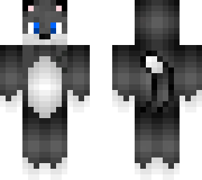 gato