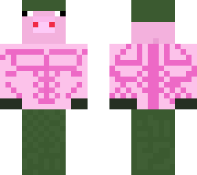 mr. millitary pig man