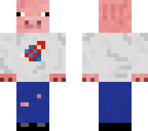 nasa pig