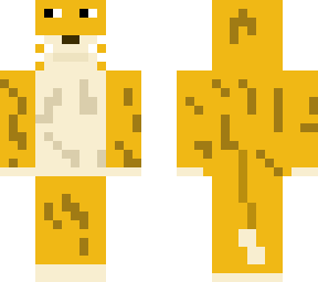 scratch cat