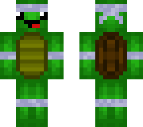 sweat band turtle