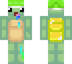 tortuga kawasaki
