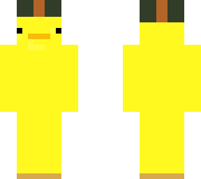aerial duck