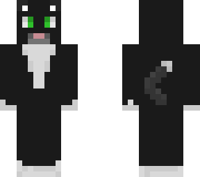 black cat