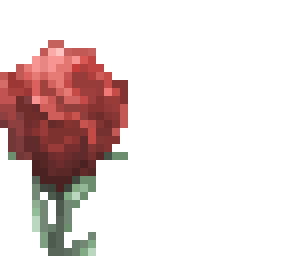 i love roses