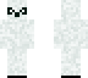 racoon