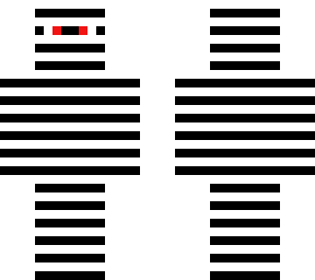 ninjazebraen