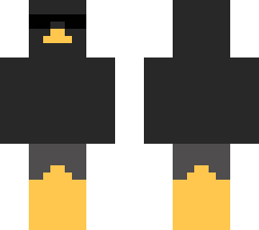 pollote_3000