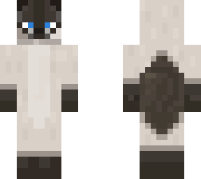 siamese cat