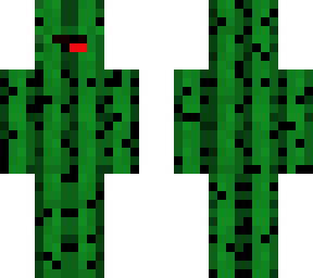 cactus skeppy