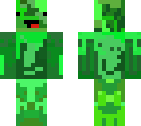 camo dirp