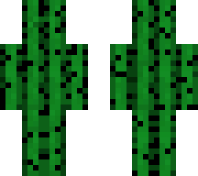 sneakiecactus