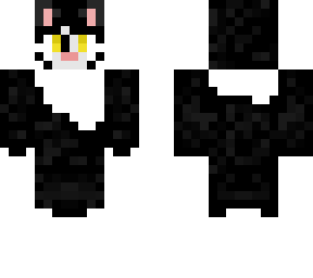 white/black cat