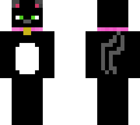 kitty