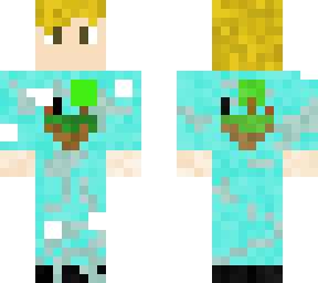sky wars skin (perfect)