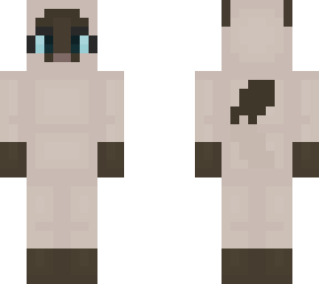siamese cat