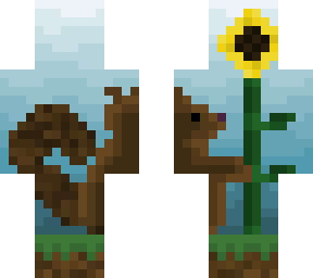 squirrel with a sunflower