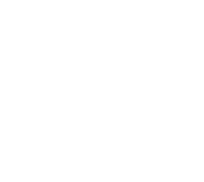 vorlage