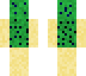cactus on sand
