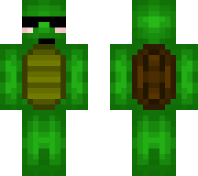 epic turtle