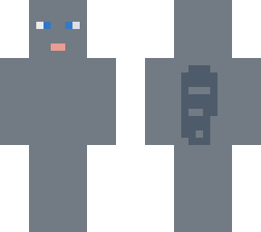 gray cat