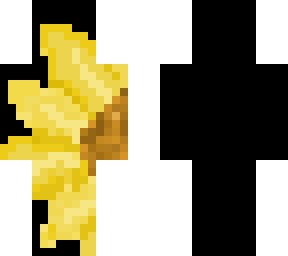 +.*+sunflower+*.+